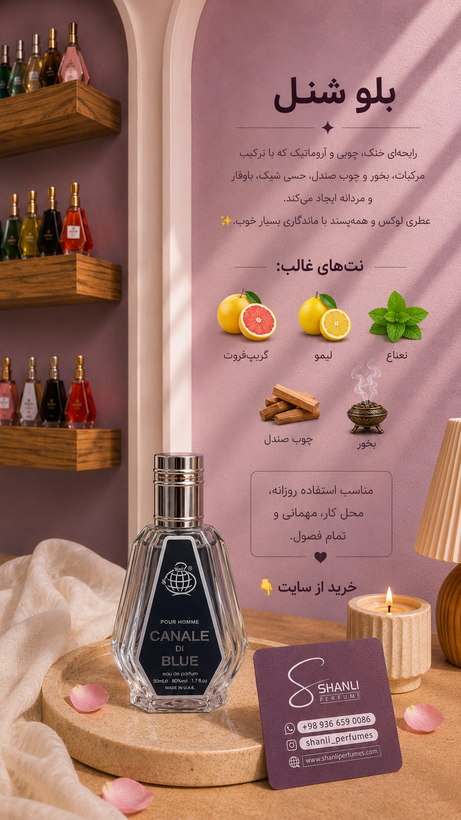 عطر ادکلن مردانه دیور ساواژ ۵۰ میل